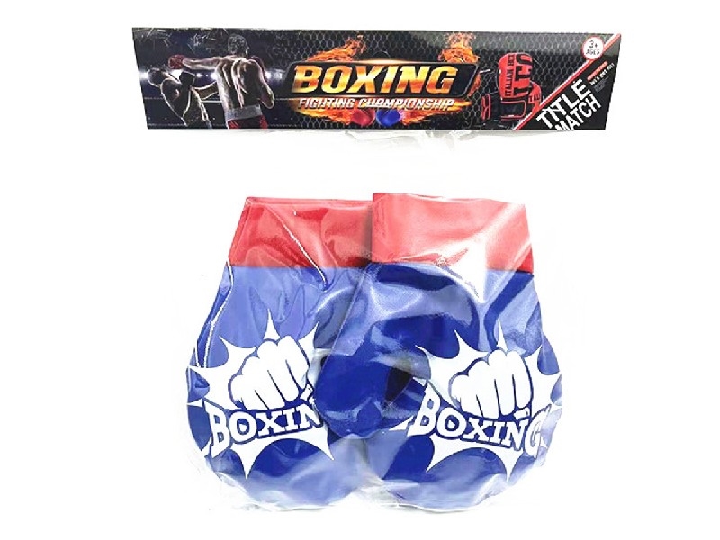 BOXING SET - HP1204292