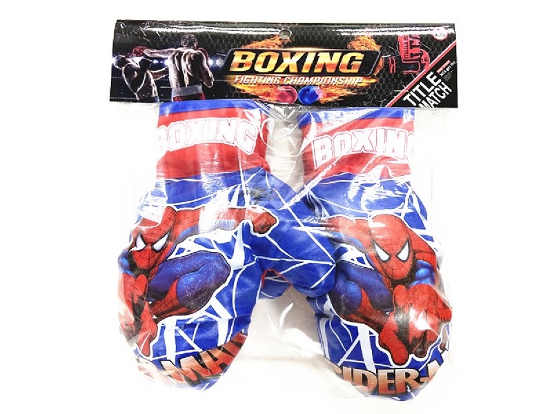 BOXING SET - HP1204293