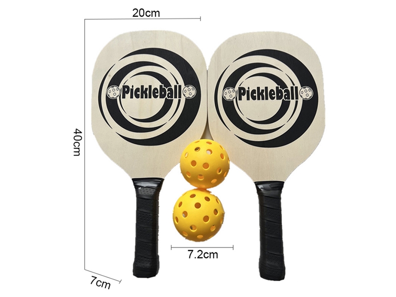 PICKLEBALL GAME - HP1205583