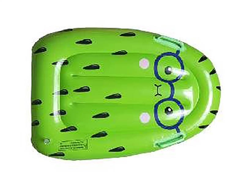 INFLATABLE SWIMMING FLOAT - HP1205989