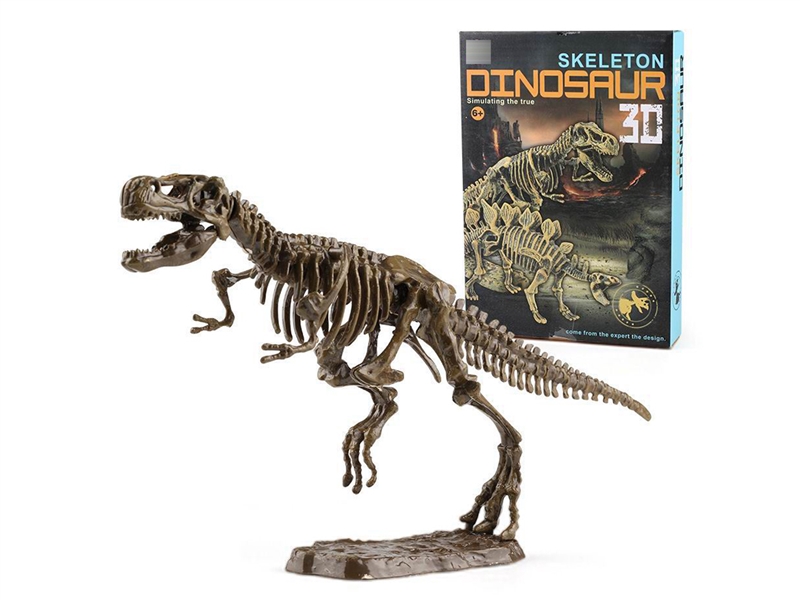 3D DINOSAUR SKELETON - HP1206310