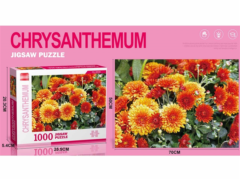 PUZZLES 1000PCS - HP1206453