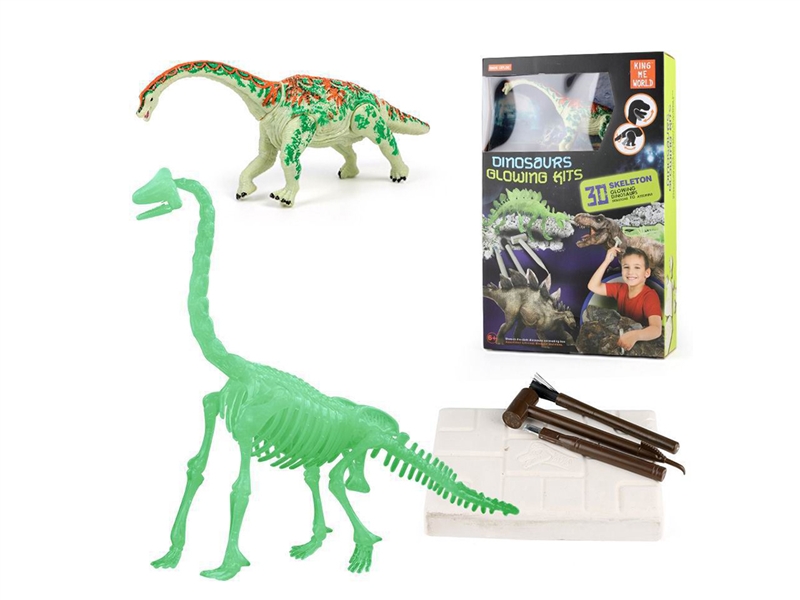 DINOSAUR SET - HP1213449