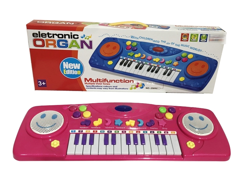 25-KEY ELECTRONIC ORGAN - HP1214054
