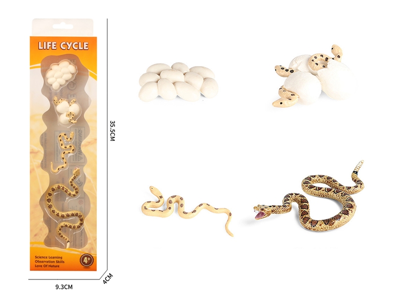 LIFE CYCLE SET - HP1220033