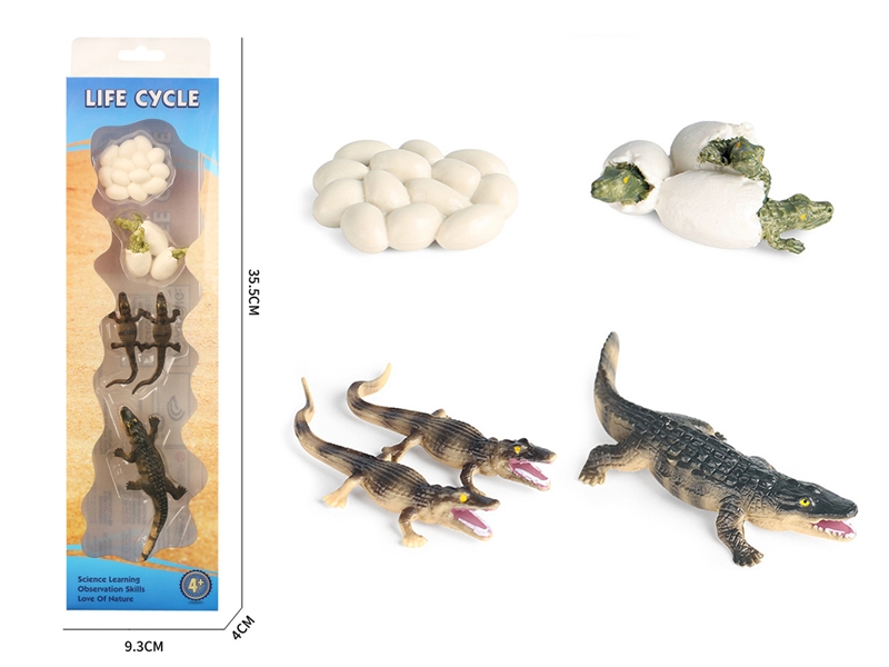 LIFE CYCLE SET - HP1220034