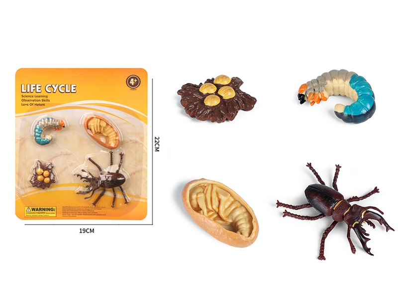 LIFE CYCLE SET - HP1220036