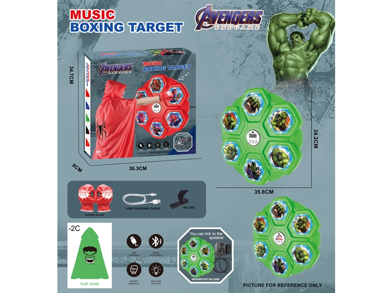 BOXING TARGET W/MUSIC & BLUETOOTH - HP1220238