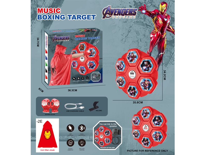 BOXING TARGET W/MUSIC & BLUETOOTH - HP1220239