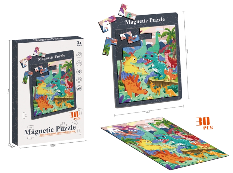 MAGNETIC PUZZLE 30PCS - HP1221896