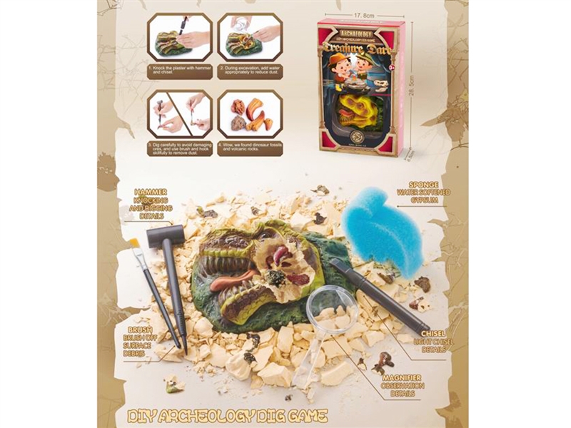 GYPSUM ARCHAEOLOGY TOYS - HP1224556