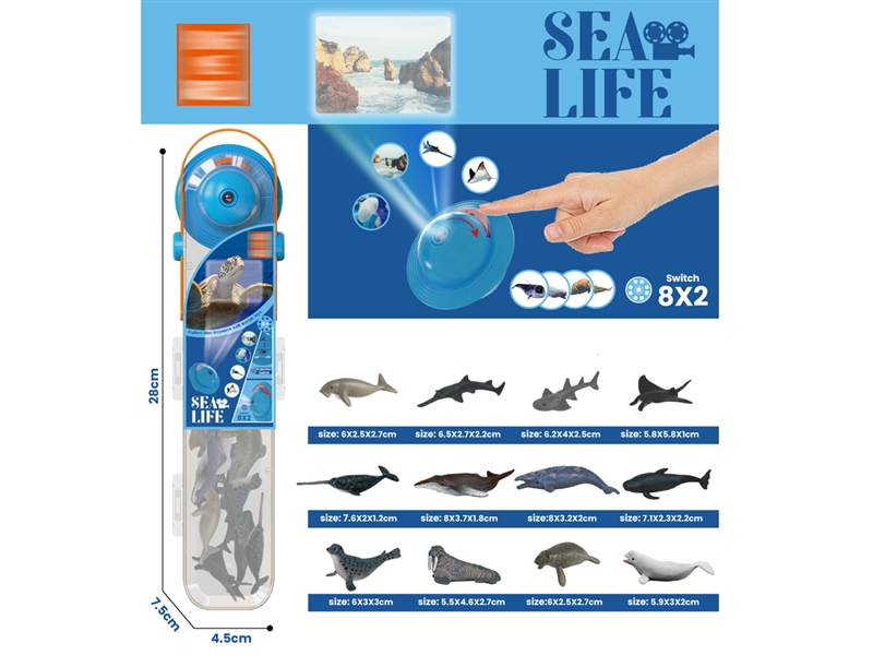 OCEAN SET W/PROJECTION 12PCS - HP1227367