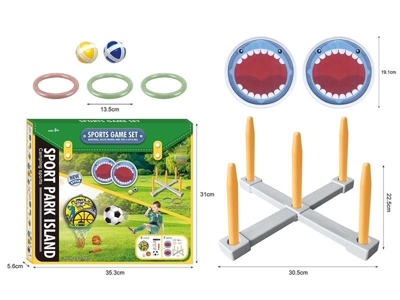 2 IN 1 SPORTS GAME SET - HP1227604