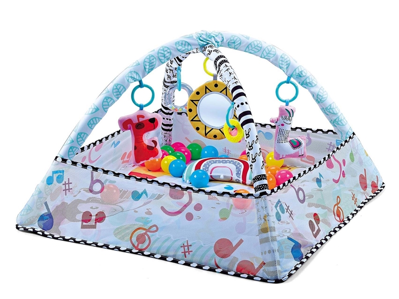 2 IN 1 CRAWLING CARPET GYM W/20PCS BALL - HP1230424