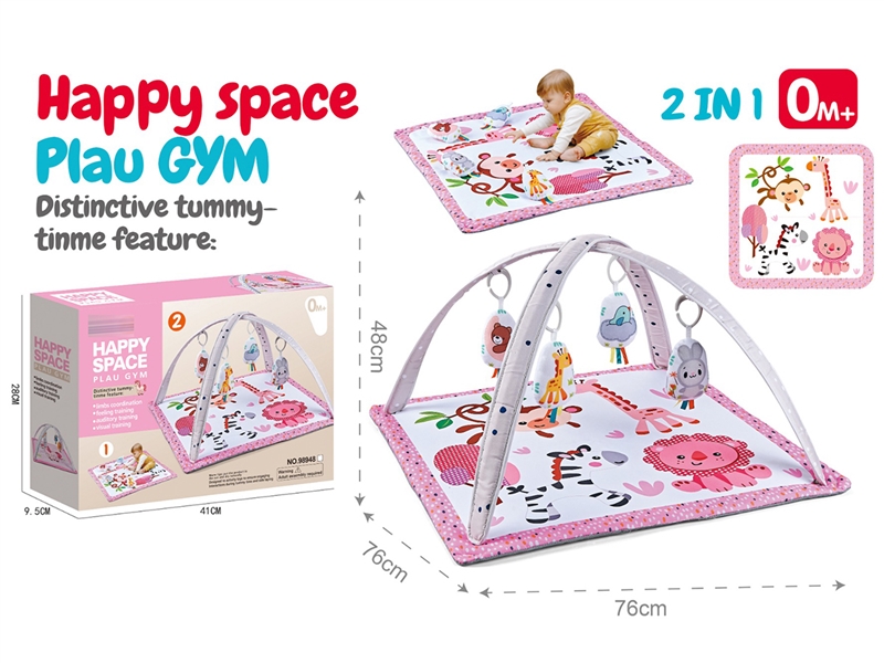 2 IN 1 FITNESS BLANKET - HP1230435