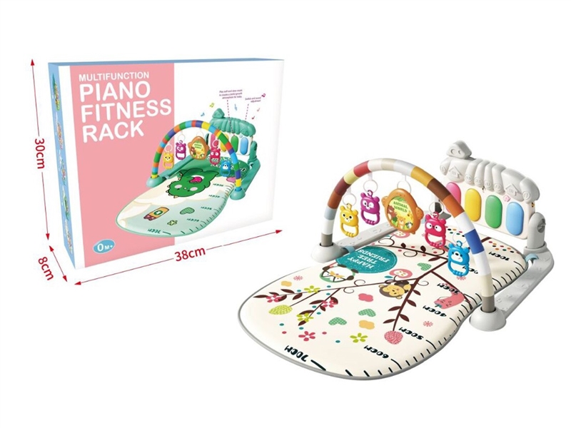 PIANO FITNESS RACK - HP1230906