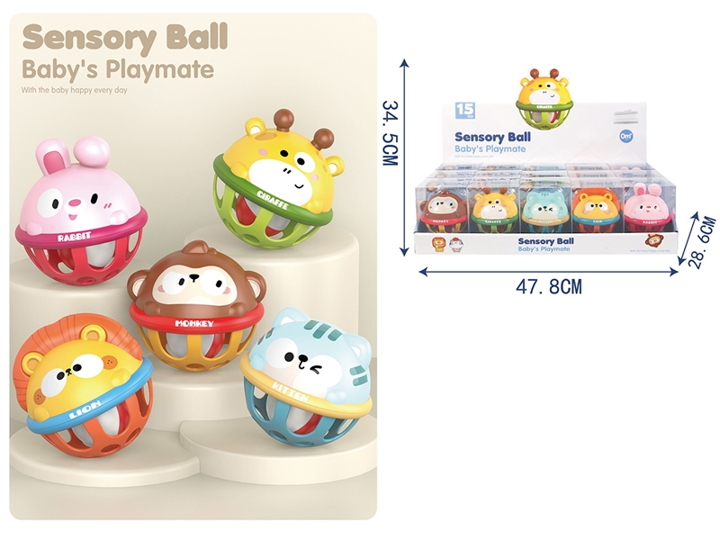 SENSORY BALL,15PCS/DISPLAY BOX - HP1242220