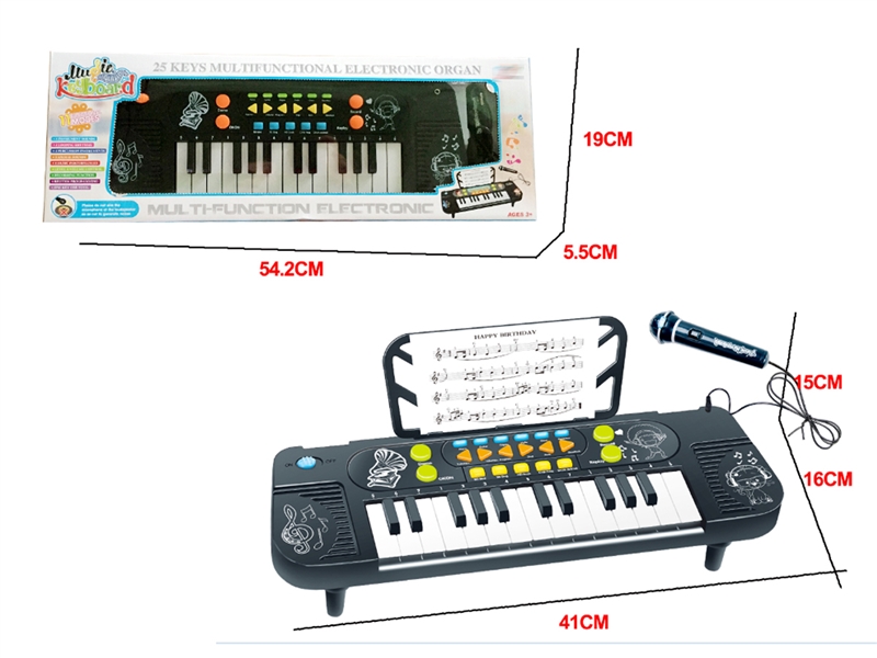 ELECTRONIC ORGAN W/RECORD - HP1243939