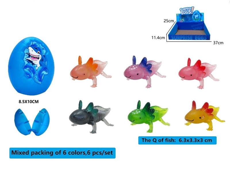 FISH , 12PCS/DISPLAY - HP1244333
