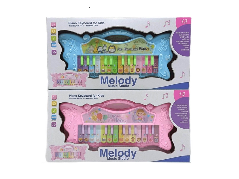 24 KEYS ELECTRONIC ORGAN - HP1244806