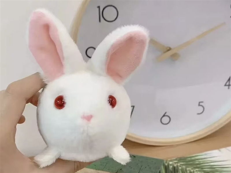 PULL LINE PLUSH TOYS - HP1246794