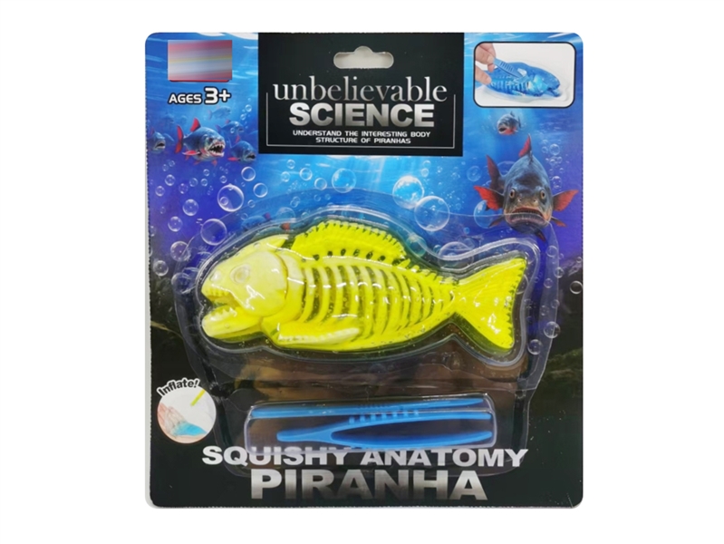SQUISHY PIRANHA ANATOMY SET - HP1246967