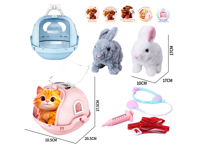 PET SET - HP1249648