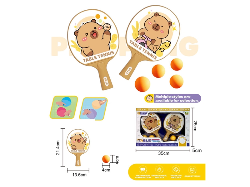 TABLE TENNIS SET - HP1249756