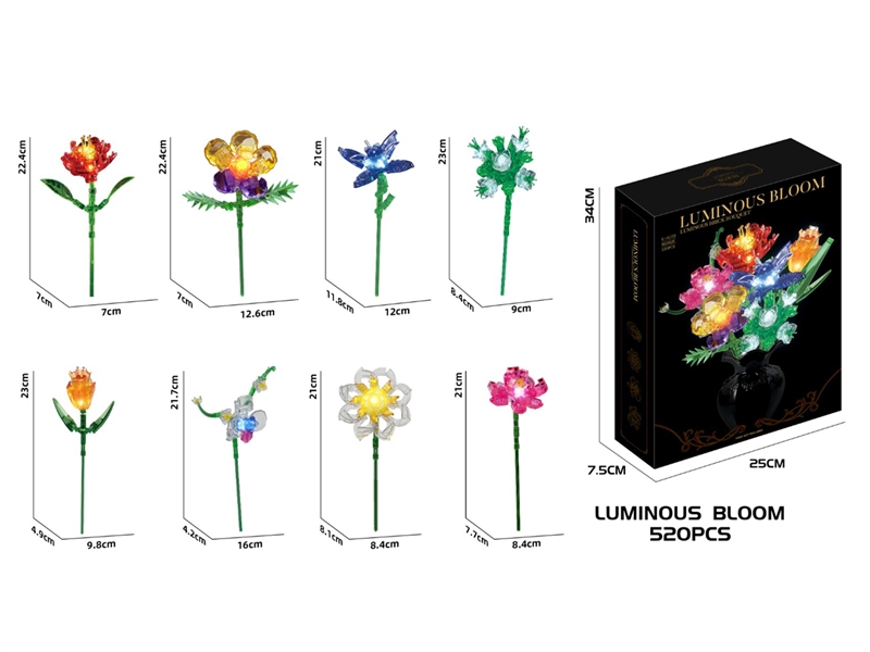 BUILDING BLOCK 520PCS - HP1250322