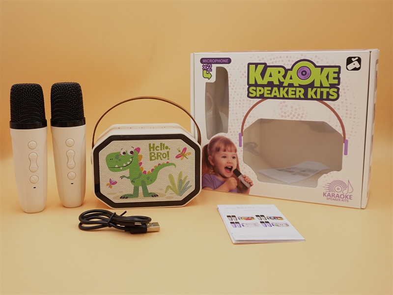 DINOSAUR K-SONG DOUBLE LABEL SET WITH LIGHTS - HP1253281