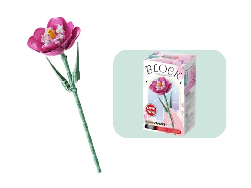 BUILDING BLOCK 79PCS - HP1254270
