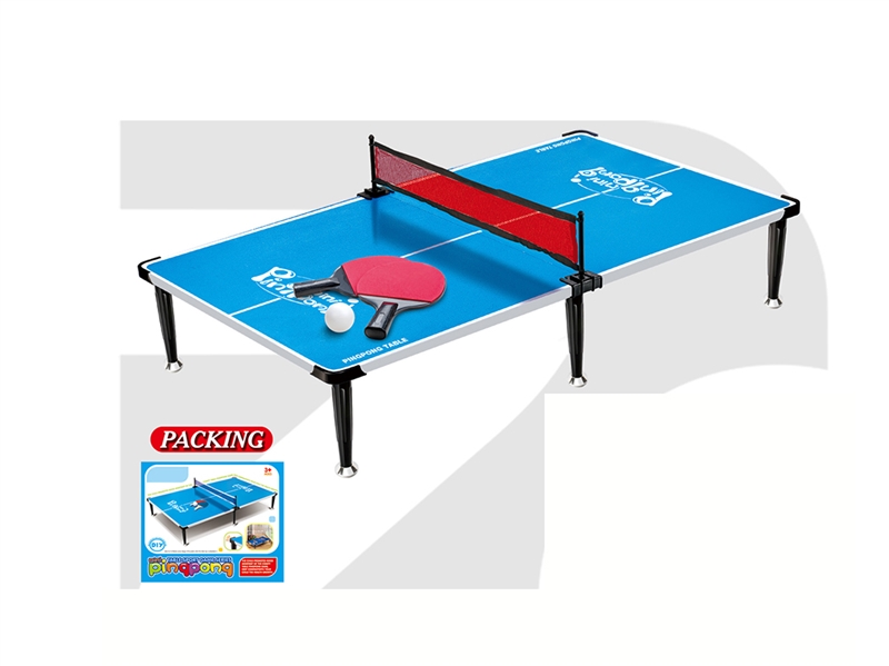 TABLE TENNIS SET - HP1262703