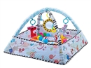 2 IN 1 CRAWLING CARPET GYM W/20PCS BALL