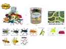 INSECT SET WITH MAP 17PCS