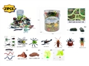 INSECT SET WITH MAP 21PCS