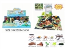 INSECT SET WITH MAP , 6PCS/DISPLAY BOX