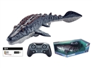 R/C WATER TOY W/WATER SPRAY FUNCTION