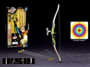 BOW AND ARROW SET