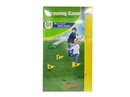 RINGTOSS