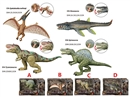 DINOSAUR SET,4ASST