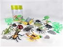 INSECT SET 30PCS
