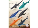 50CM VINYL COTTON OCEAN ANIMALS,6ASST