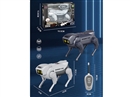 R/C ROBOT DOG