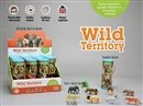 ANIMAL SET，12PCS/DISPLAY BOX