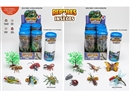 INSECT SET，2ASST,6PCS/DISPLAY BOX