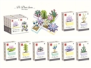 BUILDING BLOCKS,8PCS/DISPLAY BOX