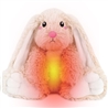 30CM HEAT IN MICROWAVE PLUSH TOY
